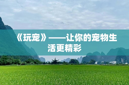 《玩宠》——让你的宠物生活更精彩