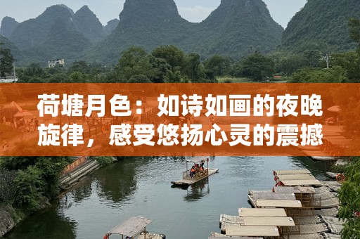 荷塘月色：如诗如画的夜晚旋律，感受悠扬心灵的震撼