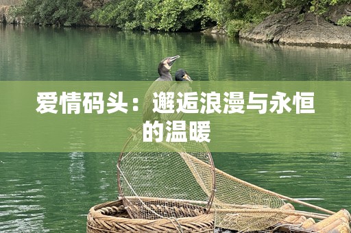爱情码头：邂逅浪漫与永恒的温暖