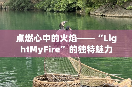 点燃心中的火焰——“LightMyFire”的独特魅力