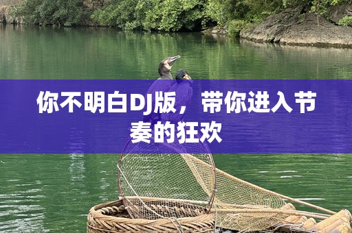 你不明白DJ版，带你进入节奏的狂欢