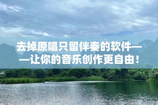 去掉原唱只留伴奏的软件——让你的音乐创作更自由！