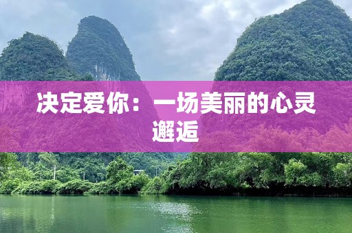 决定爱你：一场美丽的心灵邂逅
