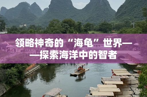 领略神奇的“海龟”世界——探索海洋中的智者