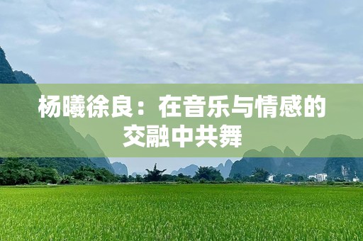 杨曦徐良：在音乐与情感的交融中共舞