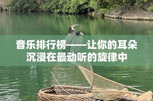 音乐排行榜——让你的耳朵沉浸在最动听的旋律中