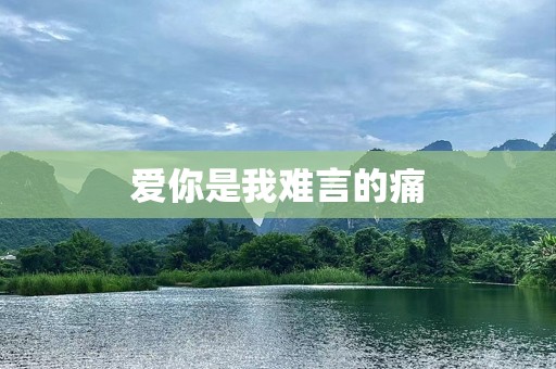 爱你是我难言的痛