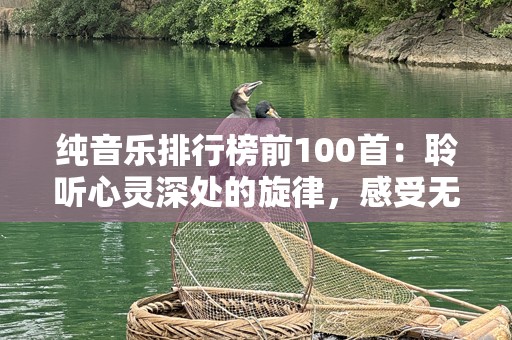 纯音乐排行榜前100首：聆听心灵深处的旋律，感受无声的力量