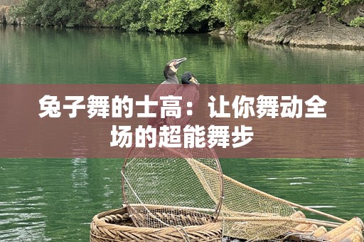兔子舞的士高：让你舞动全场的超能舞步