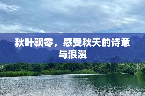 秋叶飘零，感受秋天的诗意与浪漫