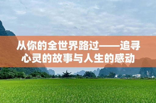从你的全世界路过——追寻心灵的故事与人生的感动