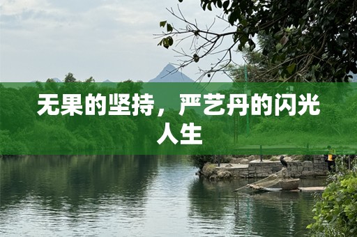 无果的坚持，严艺丹的闪光人生