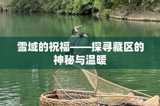 雪域的祝福——探寻藏区的神秘与温暖