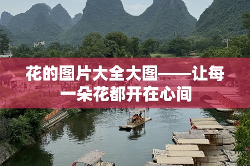 花的图片大全大图——让每一朵花都开在心间