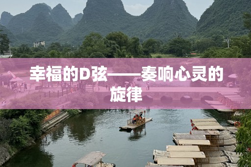 幸福的D弦——奏响心灵的旋律