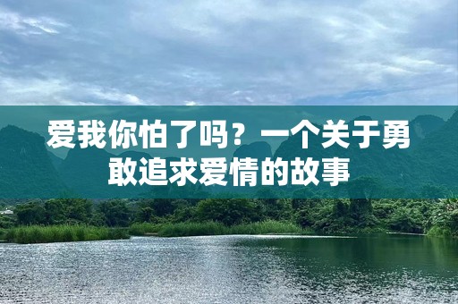 爱我你怕了吗？一个关于勇敢追求爱情的故事