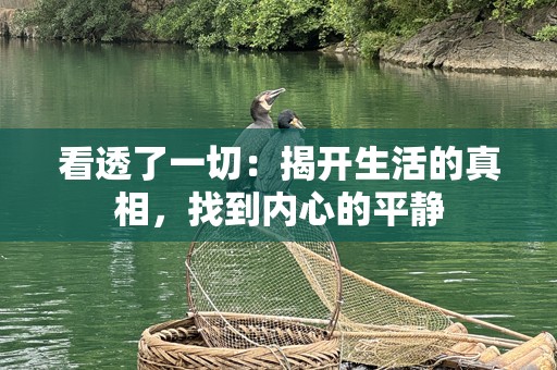 看透了一切：揭开生活的真相，找到内心的平静
