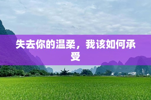 失去你的温柔，我该如何承受