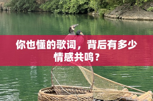 你也懂的歌词，背后有多少情感共鸣？