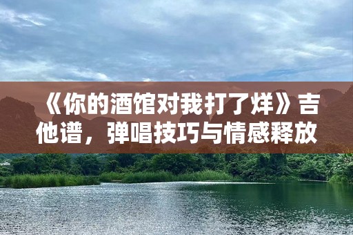 《你的酒馆对我打了烊》吉他谱，弹唱技巧与情感释放的完美结合