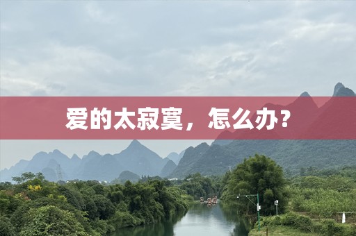 爱的太寂寞，怎么办？