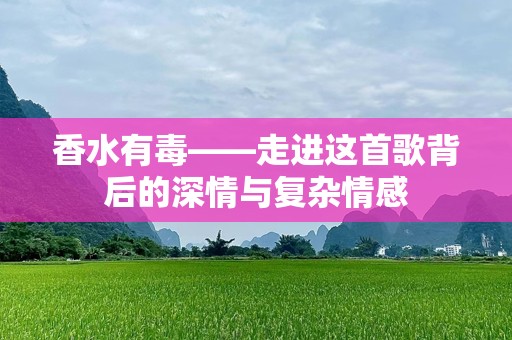 香水有毒——走进这首歌背后的深情与复杂情感