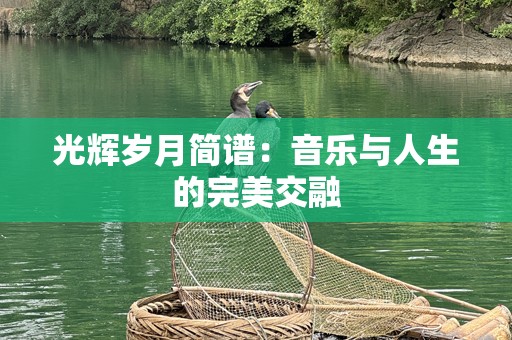 光辉岁月简谱：音乐与人生的完美交融