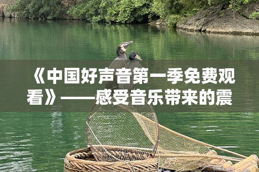 《中国好声音第一季免费观看》——感受音乐带来的震撼与魅力