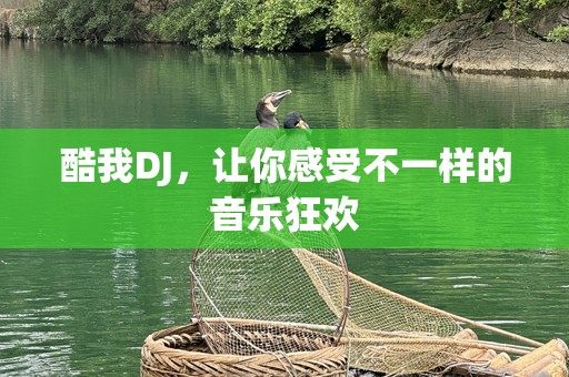 酷我DJ，让你感受不一样的音乐狂欢
