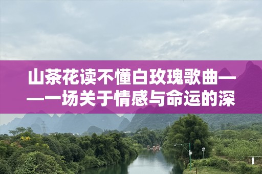 山茶花读不懂白玫瑰歌曲——一场关于情感与命运的深刻对话