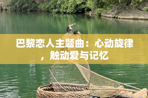 巴黎恋人主题曲：心动旋律，触动爱与记忆