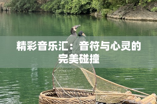 精彩音乐汇：音符与心灵的完美碰撞