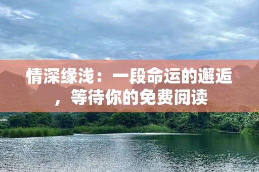情深缘浅：一段命运的邂逅，等待你的免费阅读