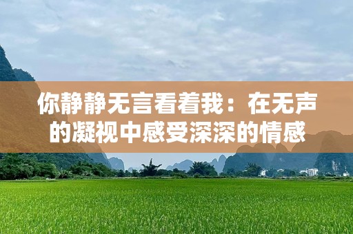 你静静无言看着我：在无声的凝视中感受深深的情感