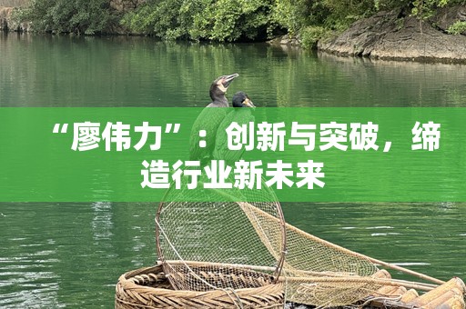 “廖伟力”：创新与突破，缔造行业新未来