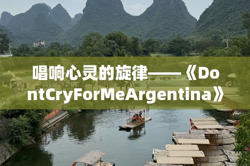 唱响心灵的旋律——《DontCryForMeArgentina》背后的动人故事