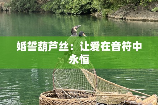婚誓葫芦丝：让爱在音符中永恒