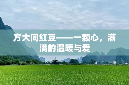 方大同红豆——一颗心，满满的温暖与爱