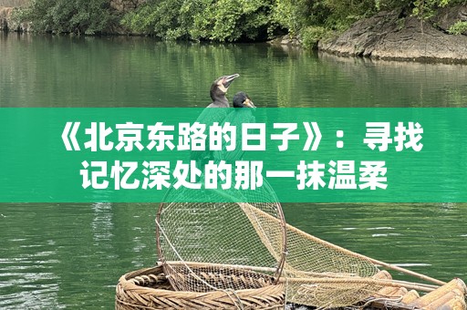 《北京东路的日子》：寻找记忆深处的那一抹温柔
