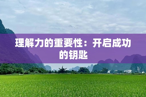 理解力的重要性：开启成功的钥匙