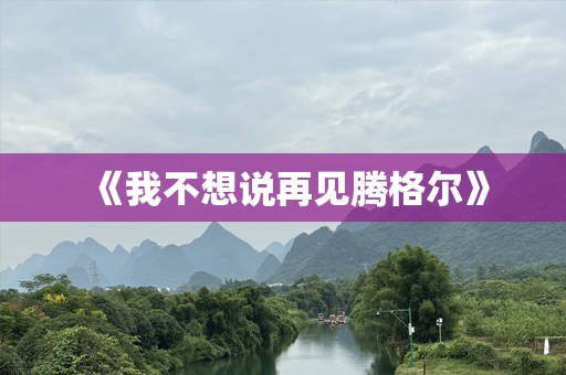 《我不想说再见腾格尔》