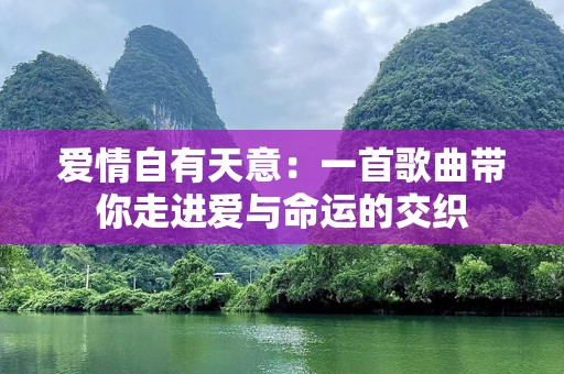 爱情自有天意：一首歌曲带你走进爱与命运的交织