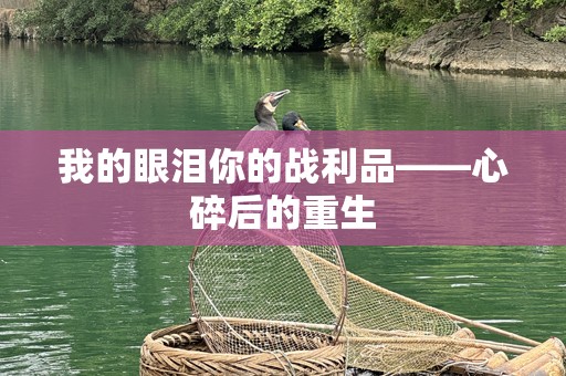 我的眼泪你的战利品——心碎后的重生