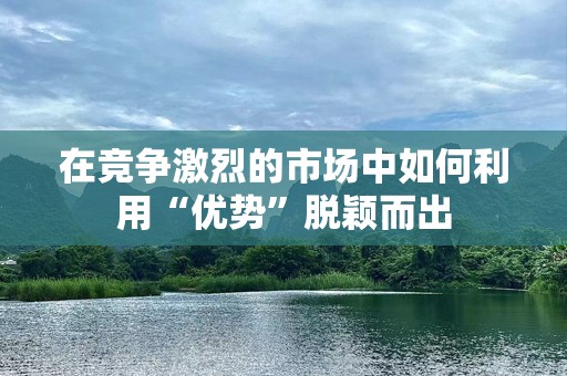 在竞争激烈的市场中如何利用“优势”脱颖而出