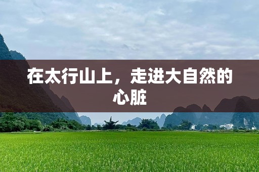 在太行山上，走进大自然的心脏