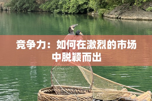 竞争力：如何在激烈的市场中脱颖而出