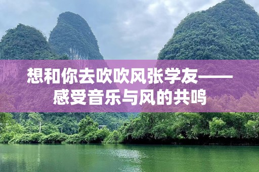 想和你去吹吹风张学友——感受音乐与风的共鸣