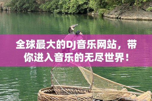 全球最大的DJ音乐网站，带你进入音乐的无尽世界！