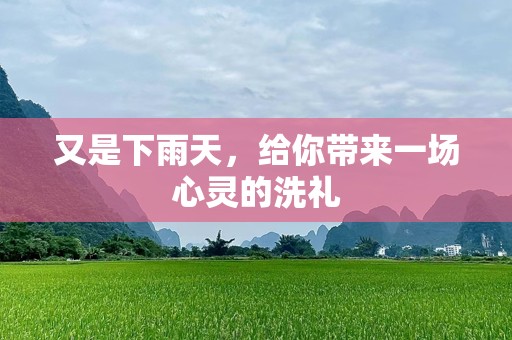 又是下雨天，给你带来一场心灵的洗礼