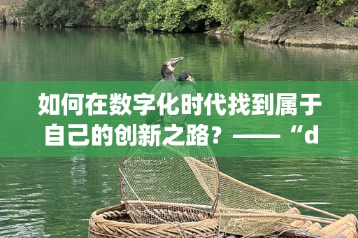 如何在数字化时代找到属于自己的创新之路？——“djdj给我一条k”带你走向未来
